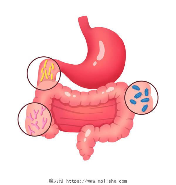 卡通胃肠及细菌特写插画世界肠道健康日素材